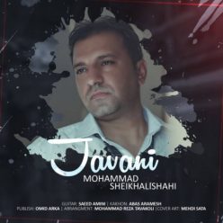 دانلود آهنگ محمد شیخعلیشاهی جوانی